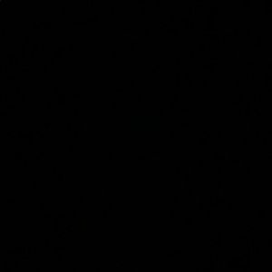 Meet your Posher, Benjamin